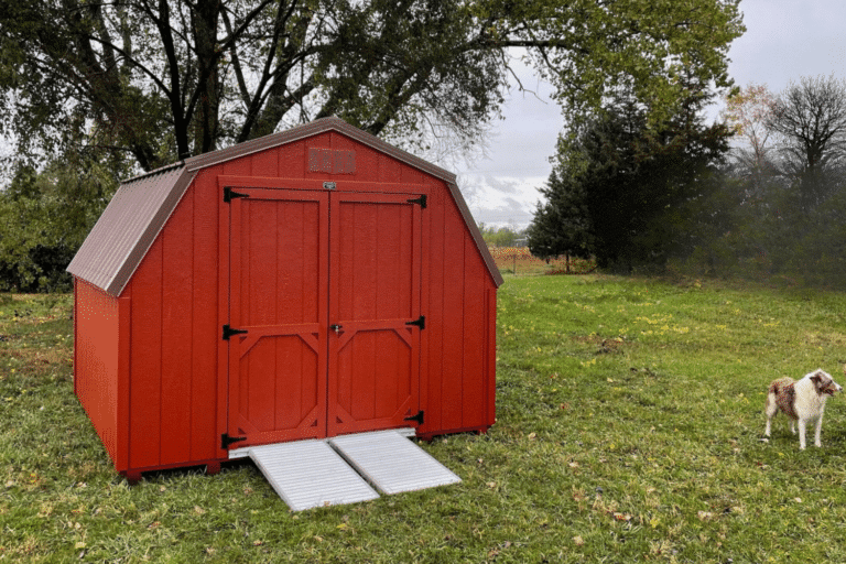14x38 Sheds, Featured Image