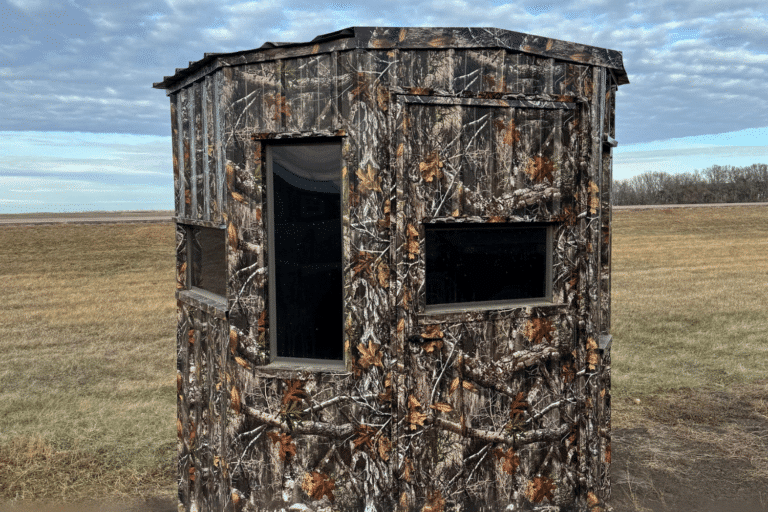 6x6 Sheds, Featured Image