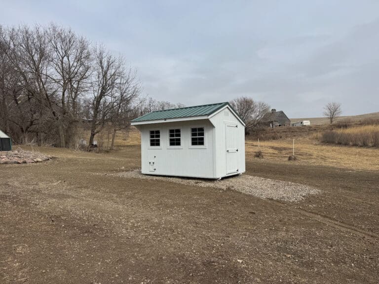 White chick coop 12x8